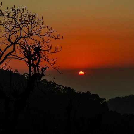 Stayvista At Sunset Springs With Pool & Views Nainital Exterior photo